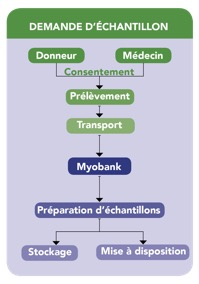 BTR_demande_ech
